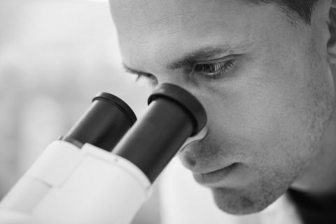 Pondering Proust, Seeing the Light Within