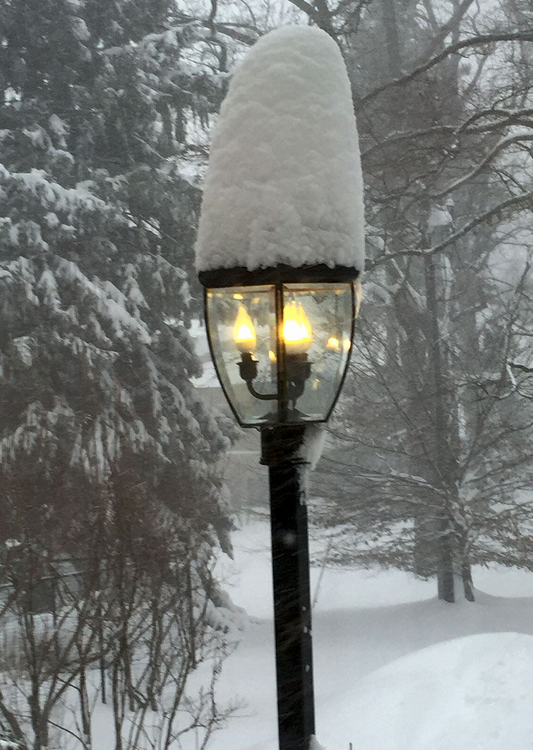 Snowy Day and My Blog Begins