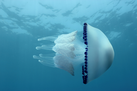 Science and Writing: Living in the Real World