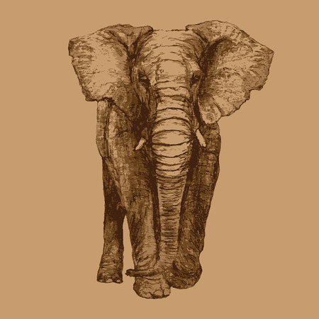 Blending Science, Art and Literature: Acknowledge the Elephants