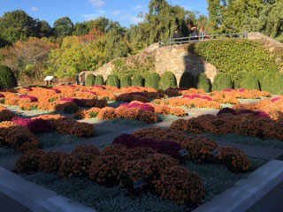butterfly-garden-of-vanderbilt-estate