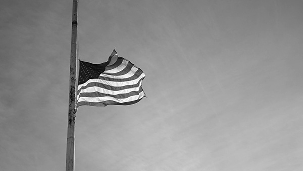 Is There a Science Behind the Violence?