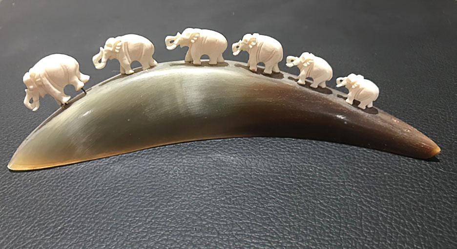 We Never Forget Family Connections